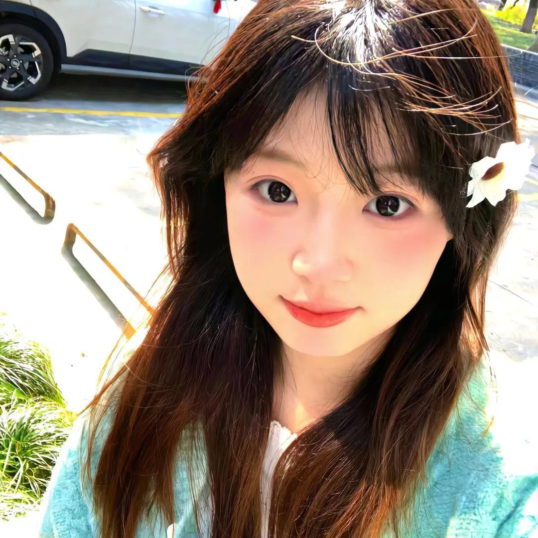 小菊的春天
